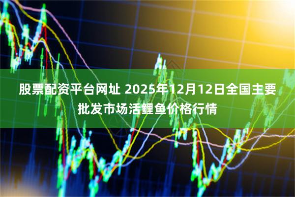 股票配资平台网址 2025年12月12日全国主要批发市场活鲤鱼价格行情