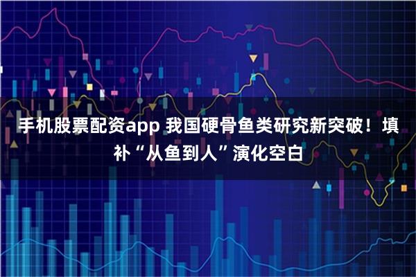 手机股票配资app 我国硬骨鱼类研究新突破！填补“从鱼到人”演化空白