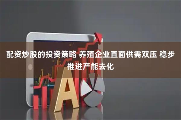配资炒股的投资策略 养殖企业直面供需双压 稳步推进产能去化