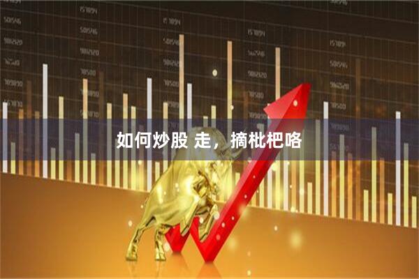 如何炒股 走，摘枇杷咯
